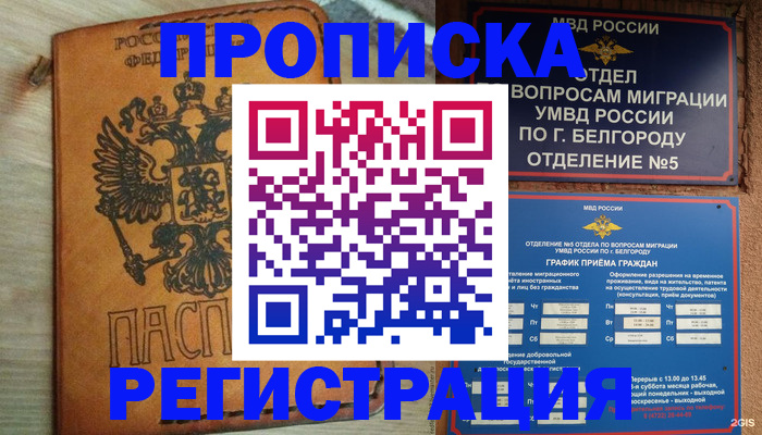 прописка для работы в Вязьме